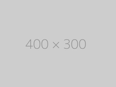hongo 400x300-ph